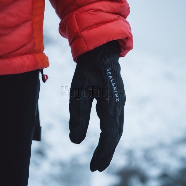 Sealskinz All Weather Glove - WP